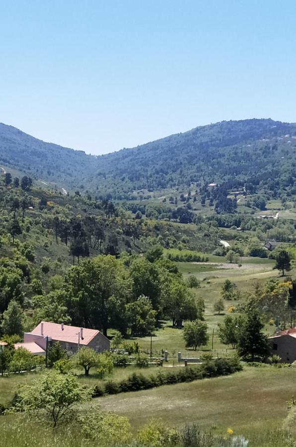 Turismo Rural Macieira Brava Guarda Exteriér fotografie