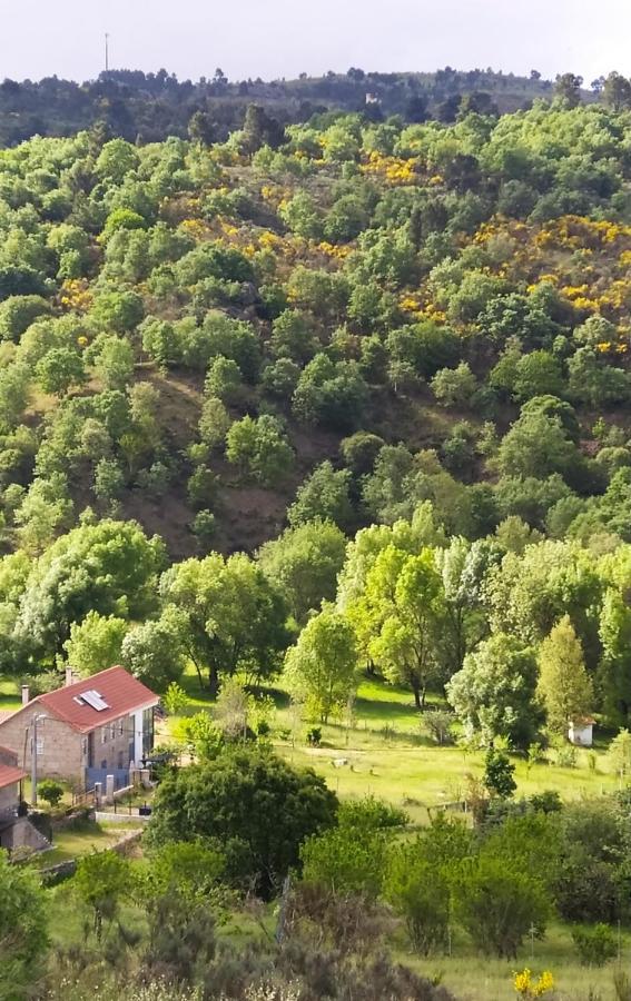 Turismo Rural Macieira Brava Guarda Exteriér fotografie