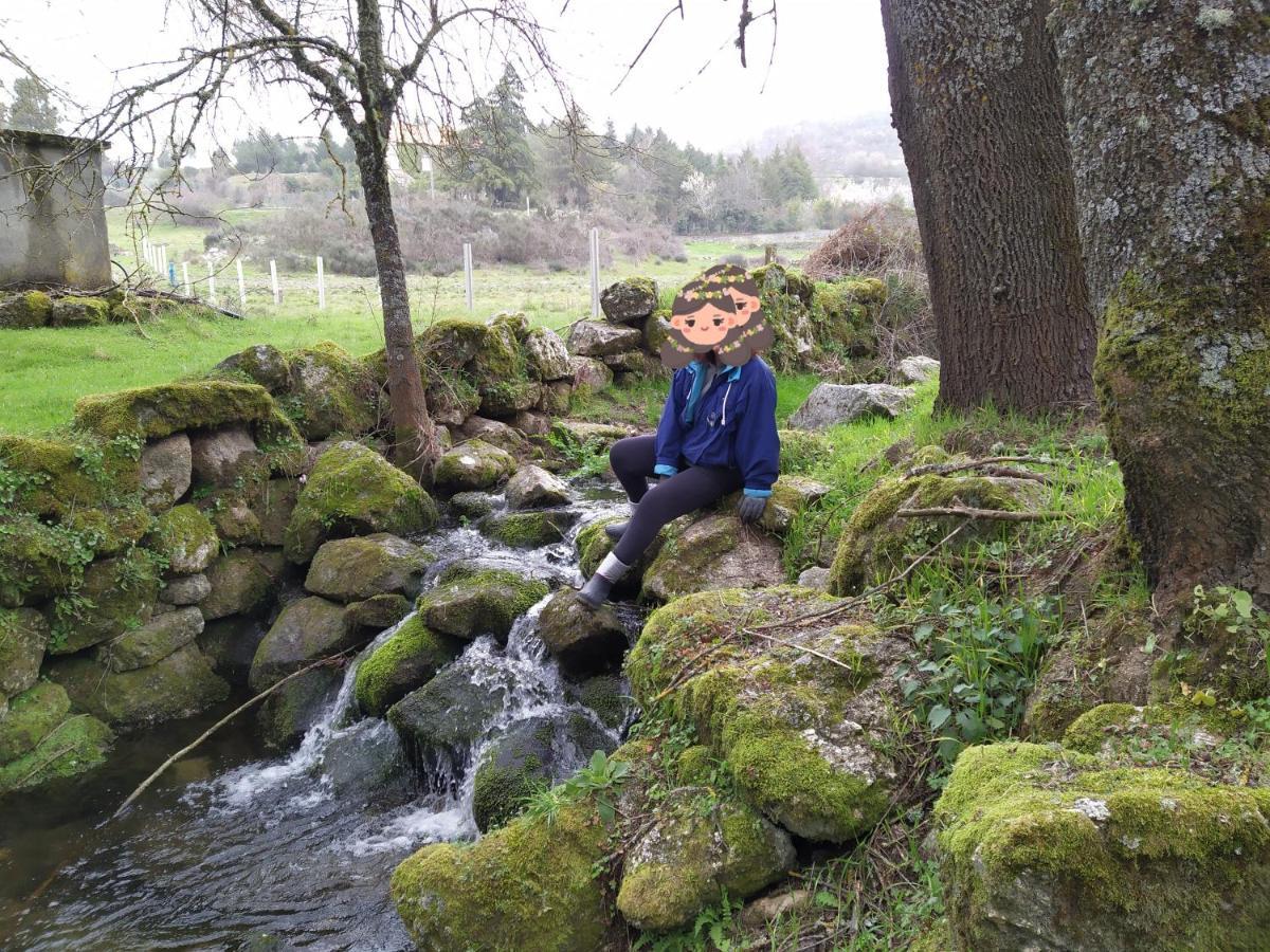 Turismo Rural Macieira Brava Guarda Exteriér fotografie