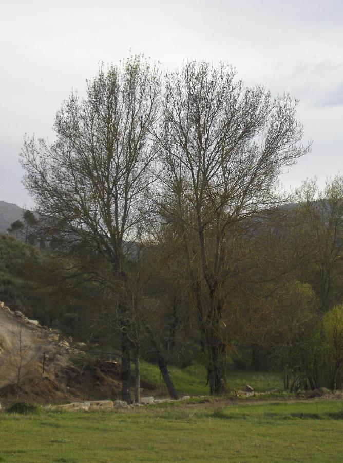 Turismo Rural Macieira Brava Guarda Exteriér fotografie
