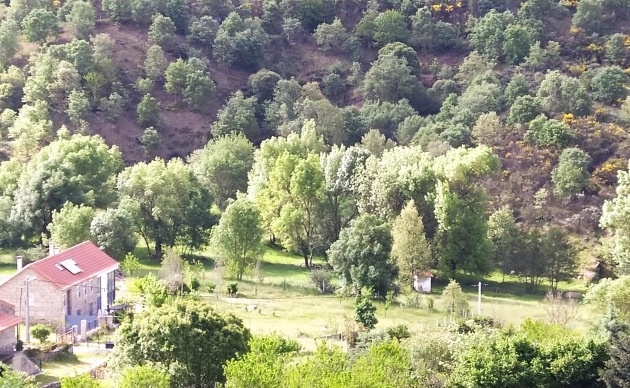 Turismo Rural Macieira Brava Guarda Exteriér fotografie